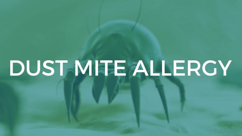 Regional Variations and Growth Opportunities in the Global House Dust Mite Allergy Market