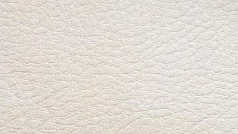 The Rise of Plant-Based Leather Market Size, Trends, and Future Outlook