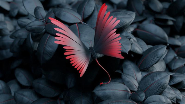 Wavetoon: A New Wave in Digital Animation and Creativity