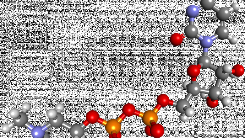 Citicoline Market Analysis: Therapeutic Use in Alzheimer’s, Stroke Recovery, and Cognitive Enhancement