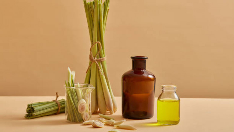 Citronella Oil Market: Market Restraints Hindering Global Expansion and Commercial Scalability