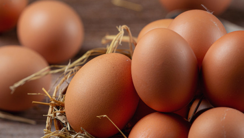 Eggs Market Size, Share, and Future Trends, 2032
