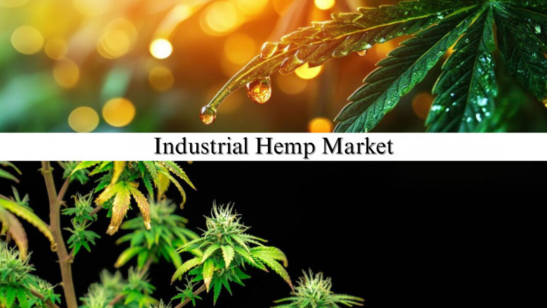 Industrial Hemp Market Dynamics: Size, Share, and Growth Forecast, 2032