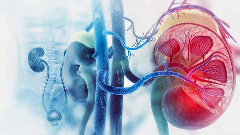 Kidney Transplant Rejection Market Anticipated to Rise on Immunosuppressive Advances