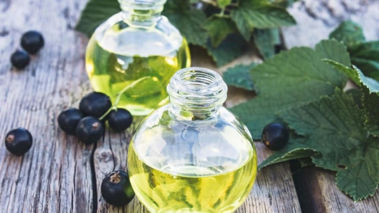 Blackcurrant Extract Market Insights: Current Landscape, Market Challenges, and Future Growth Prospects