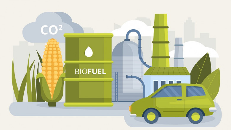 Carbon Capture Utilization and Storage Market Dynamics, Key Players and Innovations, Outlook and Forecast 2025-2034