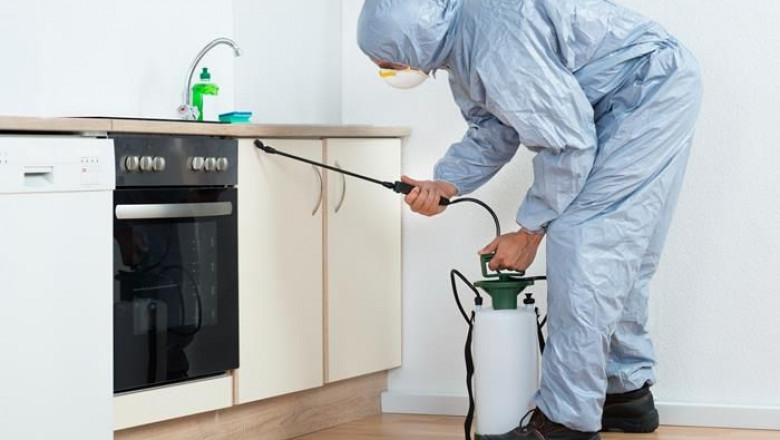 Top-Rated Pest Control Services in Canada – Budget-Friendly & Certified