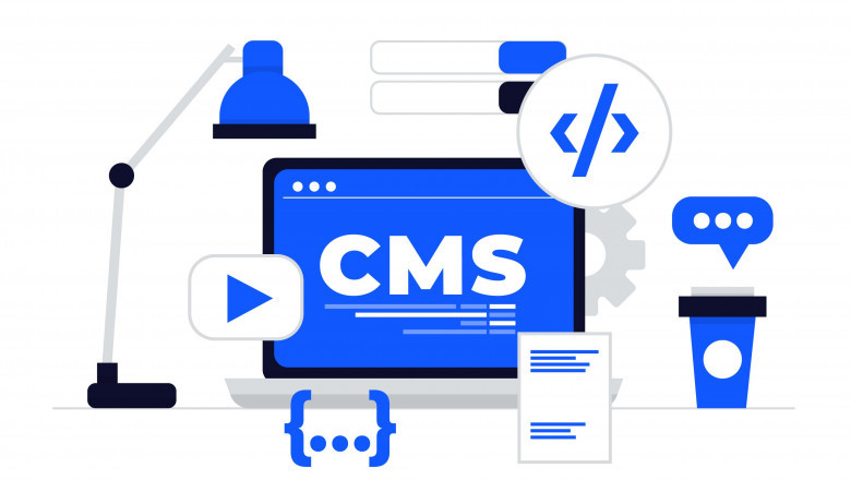 Best Web Development in Agra | Expert Website &amp; WordPress Developer