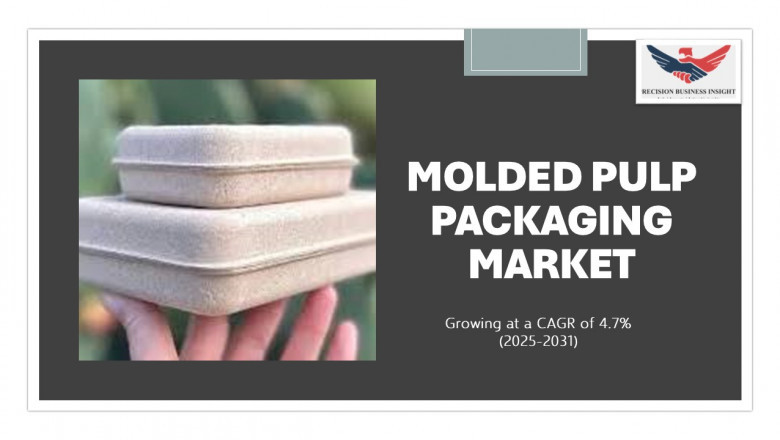 Molded Pulp Packaging Market Size, Share, Growth Analysis 2031