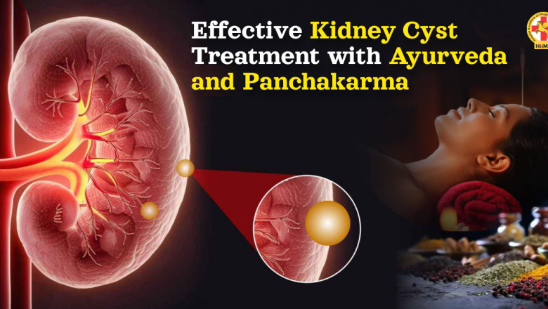 Safe & Natural Kidney Cyst Treatment with Ayurvedic Kidney Therapies