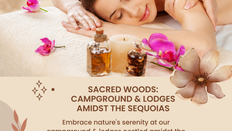 Top Best Places to Stay Near Sequoia National Park USA- Quiet Mind Sequoias