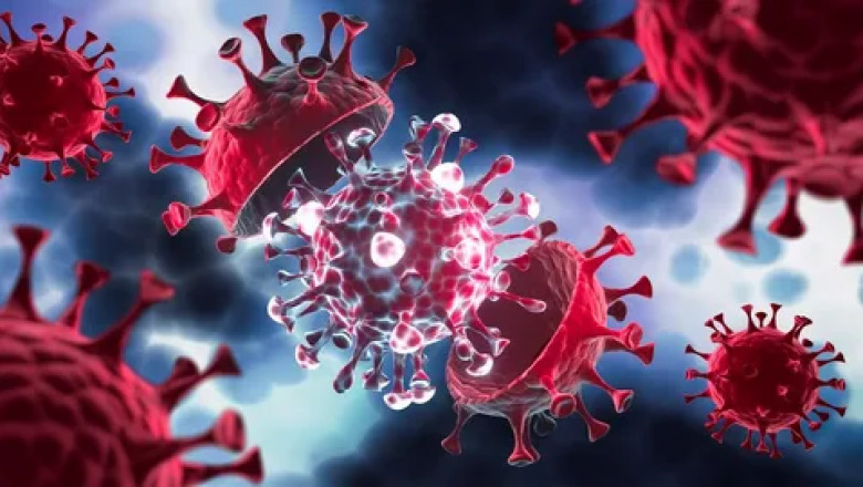 Autologous Cell Therapy Market: Impact of Regulatory Advancements on Therapy Development and Approval