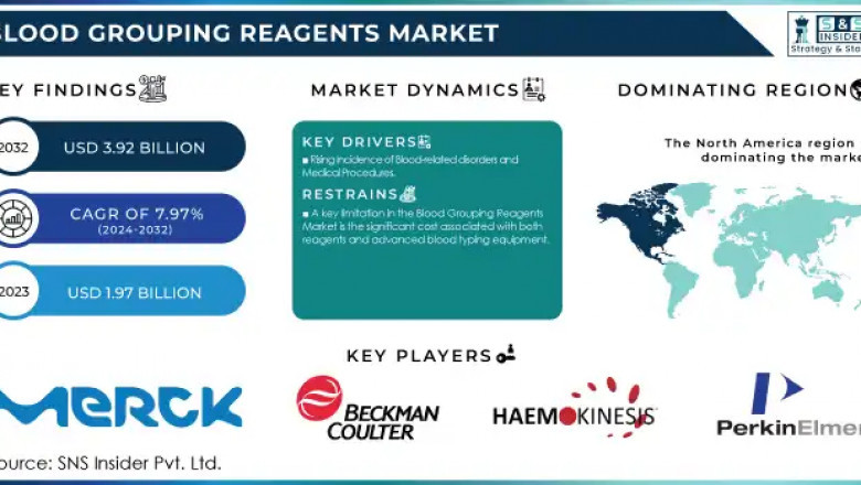 Blood Grouping Reagents Market: Market Insights and Future Trends 2024-2032