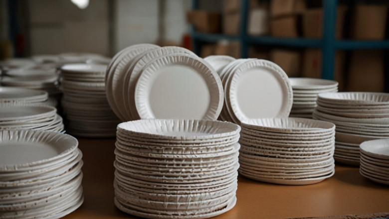 Detailed Report on Paper Plates Manufacturing Plant Setup | Layout and Cost and Revenue