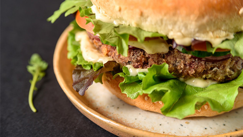 Flavor Modulator Market Demand, Size-Share, Forecast Report by 2024-2032