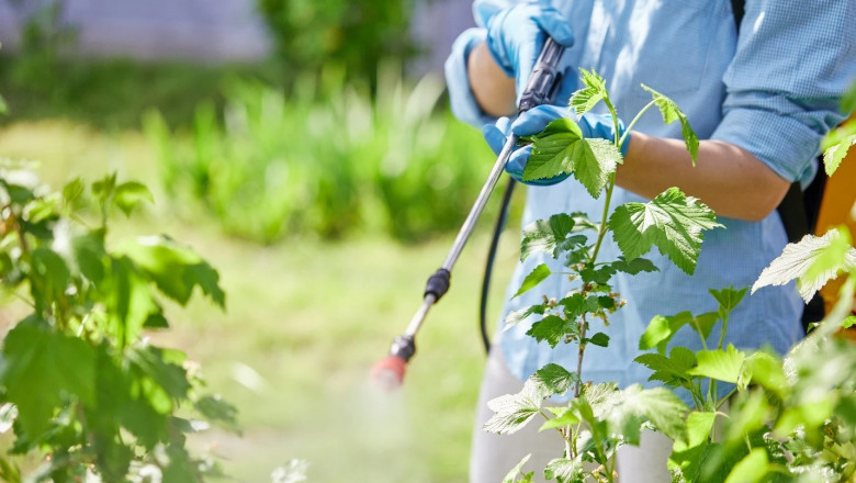 Global Foliar Spray Market Size, Share, Forecast 2023 - 2033