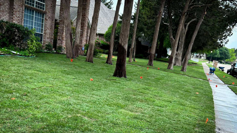 How to Lay Sod in Irregularly Shaped Areas