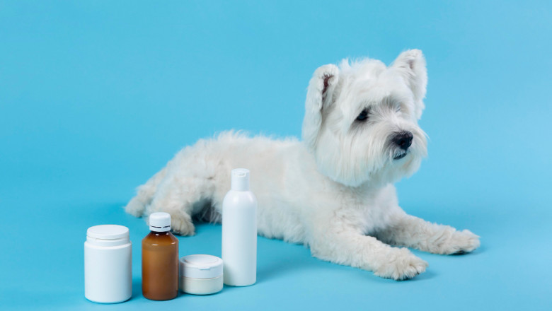 Pet Supplements Market Size, Share, Trends, Analysis, Segmentation, 2032