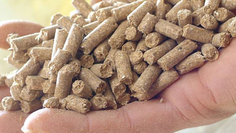 Raw Material Requirements for Setting Up a Dog Food Manufacturing Plant