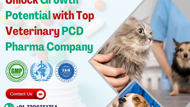 Unlock Growth Potential with Top Veterinary PCD Pharma Company