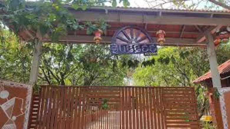 Back to Basics, Ahead in Joy | Suggee Resort