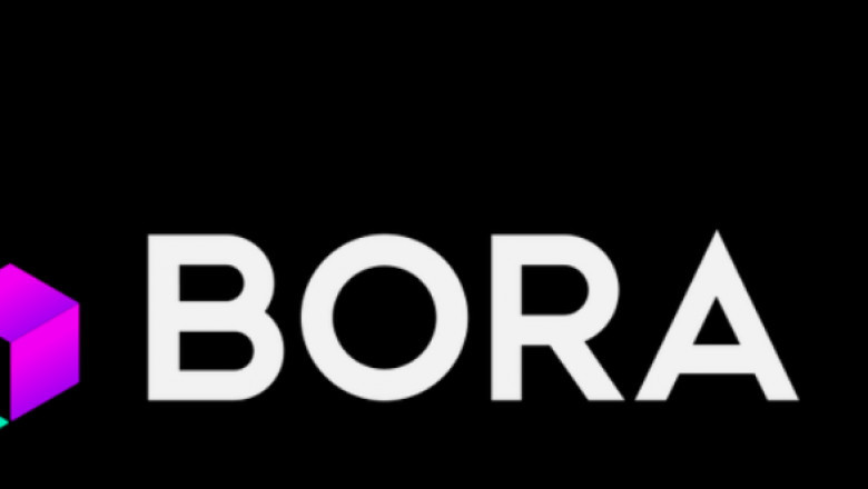Bora Price Prediction: Is It A Good Investment ?