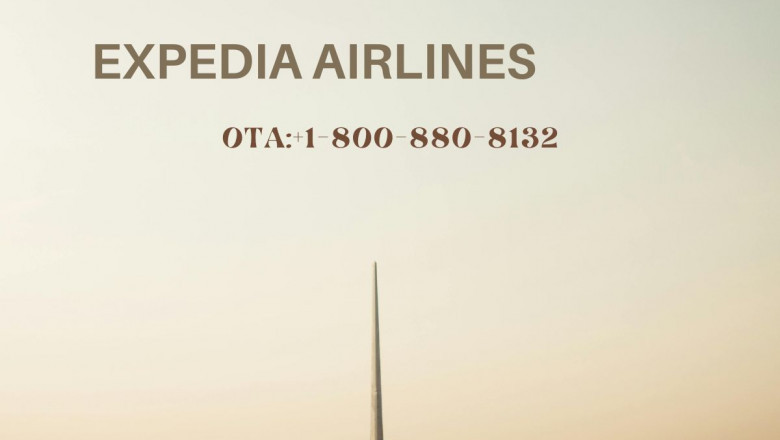 How do I talk to a real person on Expedia?