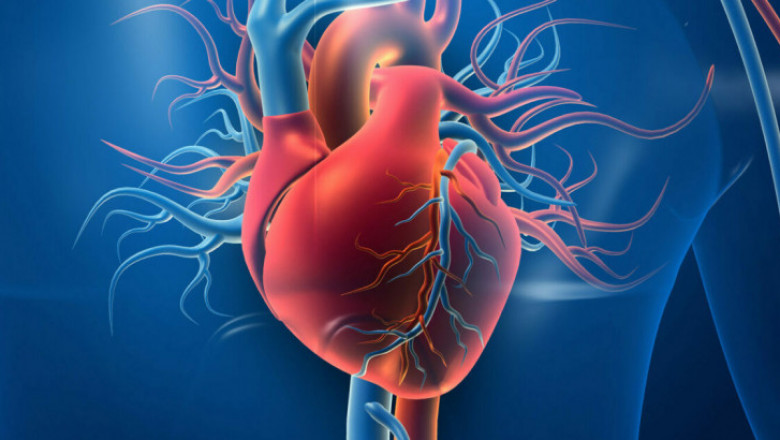 How to Prevent Heart Disease: A Proactive Approach to Cardiovascular Health