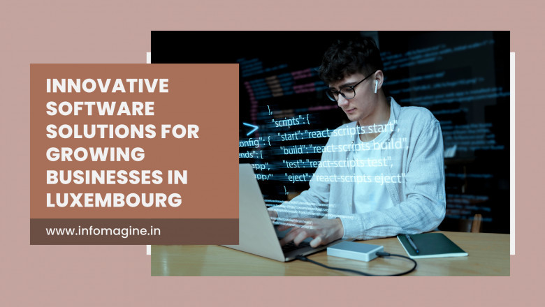 Innovative Software Solutions for Growing Businesses in Luxembourg