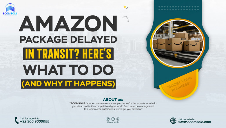 Amazon Package Delayed in Transit”? Here’s What to Do (and Why It Happens).