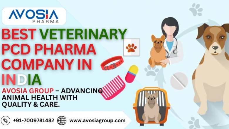 Best Veterinary Pcd Pharma Company in India