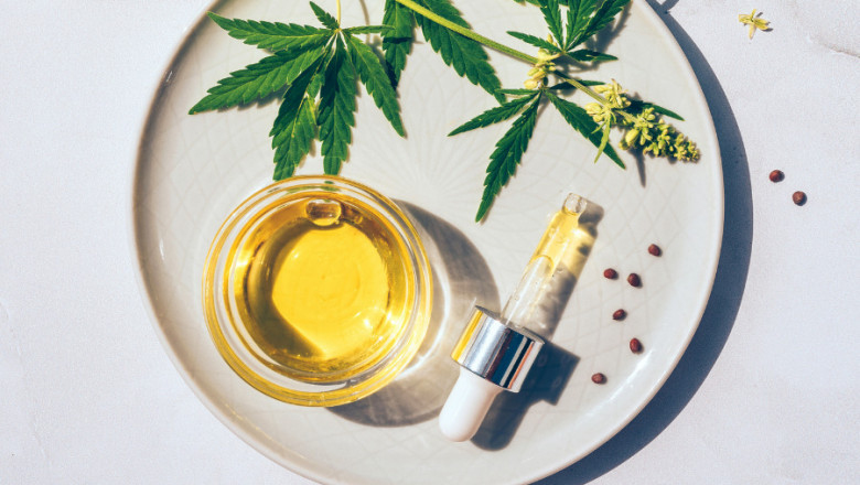 CBD Beverages Market Forecast: Projecting Future Trends and Market Expansion Strategies