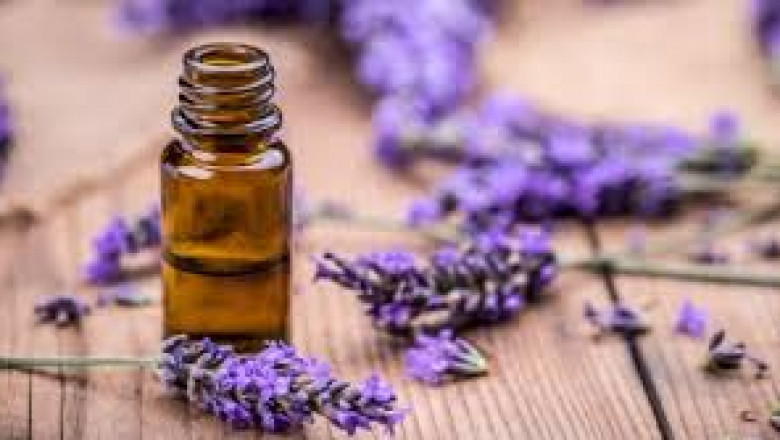Essential Oil Market: Key Market Intelligence Insights for Growth and Strategy
