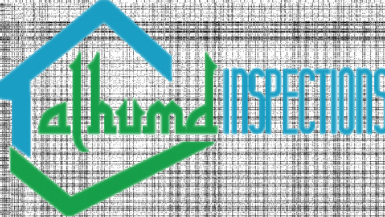 Termite Inspection Checklist What Professionals Look For