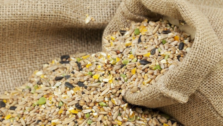 Bird Food Market Scope Expands Through Innovation, Global Demand, and Shifting Consumer Feeding Preferences