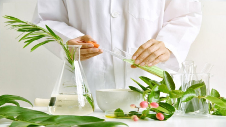 Botanical Extracts Market Developments: Rising Interest in Clean Label and Organic Extracts Fuels Demand