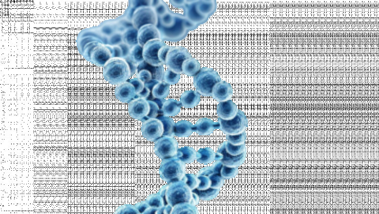DNA Binding Protein Market Size Hit New profit-making To 2025