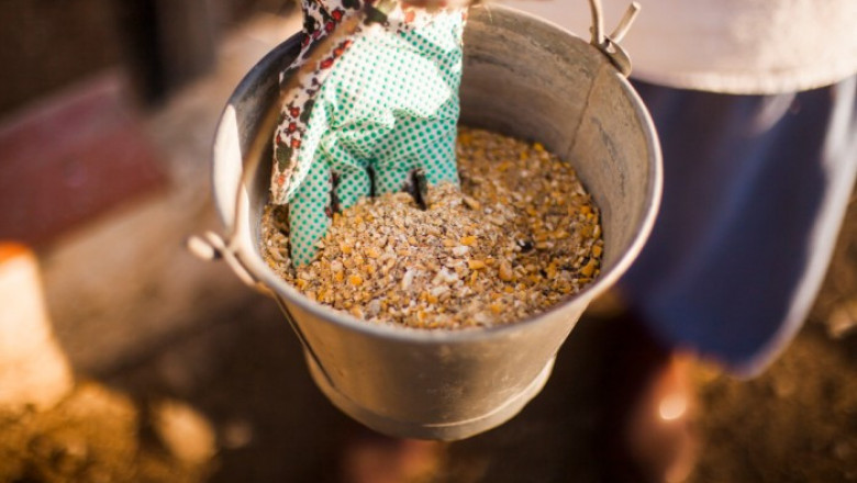 Feed Premix Market Size, Share, Future Outlook, 2032