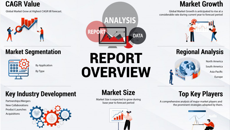 Non-food Retail Market Size and Share Report: Comprehensive Forecast (2025-2034)