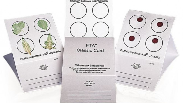 Specimen Collection Cards Market Expands as Global Health Initiatives Promote Low-Cost Diagnostic Tools