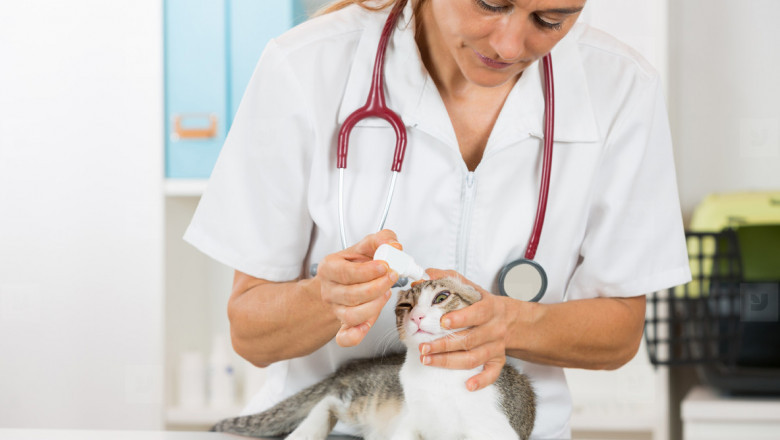 Veterinary Glucometers Market Strengthens With Rising Pet Ownership and Livestock Health Management Needs
