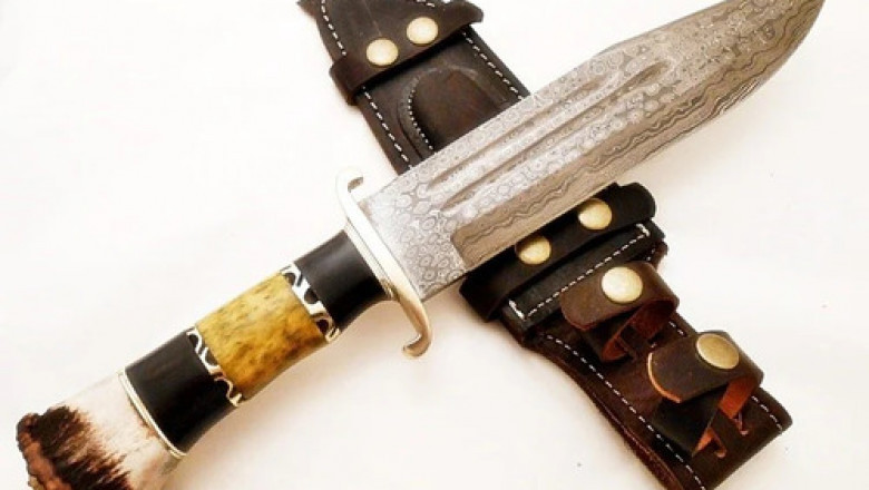 Exploring the World of Knives: An Informative Guide