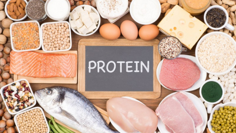 Fish Protein Isolate Market Intelligence: Key Consumer Trends Impacting Product Development Strategies