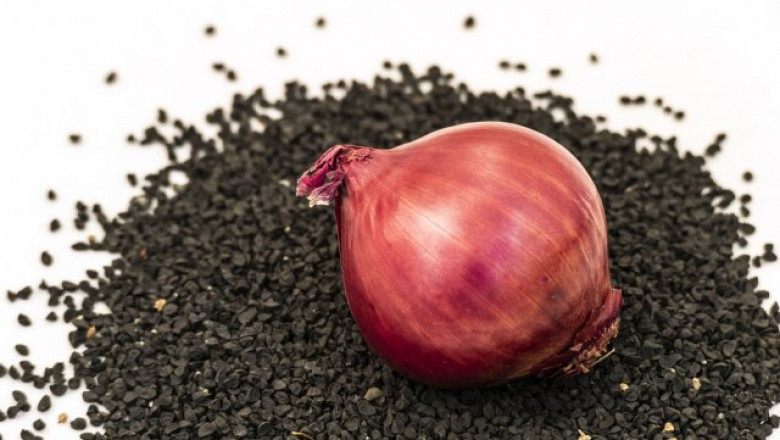 Growing Demand for Onion Seeds Drives Global Agricultural Market Growth