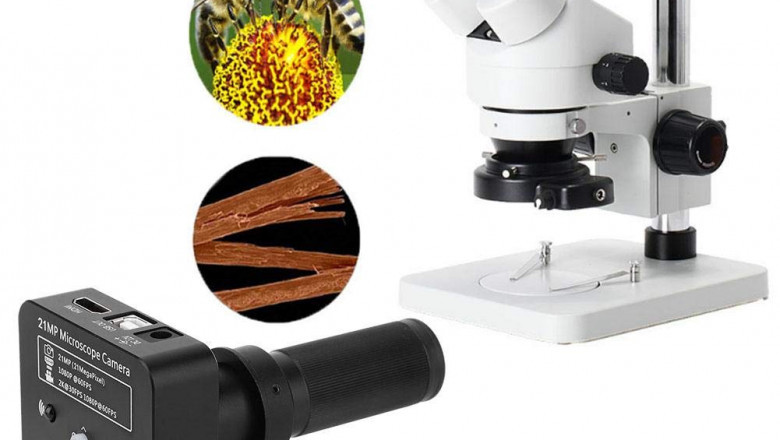 Microscope Digital Cameras Market: Exploring the Dynamics, Trends, Growth Drivers, and Challenges