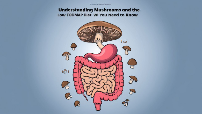 Best Mushrooms for IBS: Safe Options for Sensitive Digestion