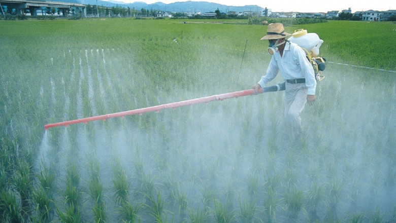 Foliar Fertilizers Market Trends: Organic Fertilizer Adoption and Its Influence on Market Dynamics