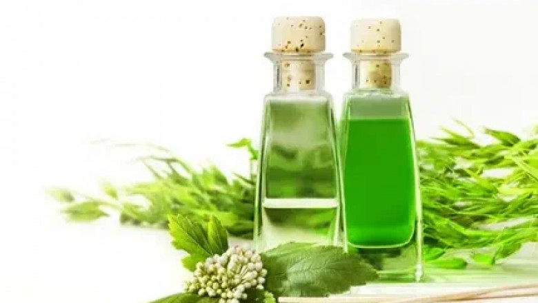 Professional Hair Care Products Market Opportunities: How to Leverage Consumer Trends for Growth
