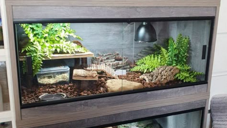 Reptile Enclosure Market to Witness High Growth Owing to IoT-Based Climate Control