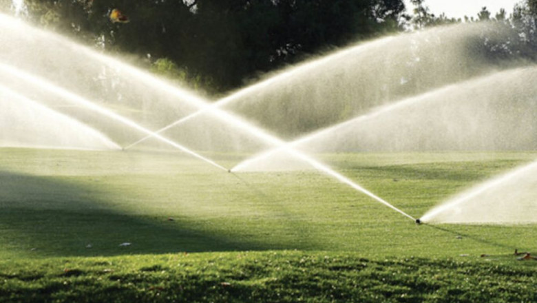 Seasonal Maintenance Tips for Your Landscape